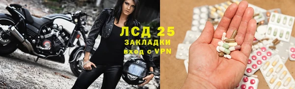 бошки Заводоуковск