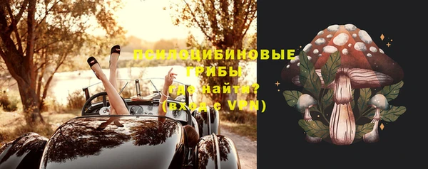 Альфа ПВП Заволжск